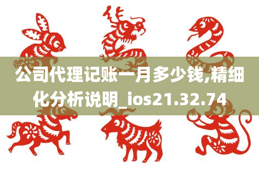 公司代理记账一月多少钱,精细化分析说明_ios21.32.74