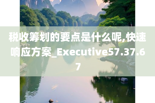 税收筹划的要点是什么呢,快速响应方案_Executive57.37.67