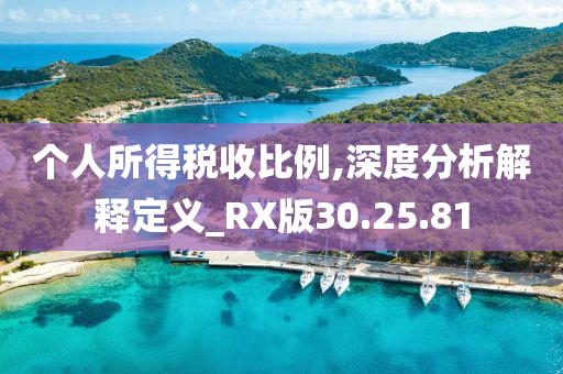 个人所得税收比例,深度分析解释定义_RX版30.25.81