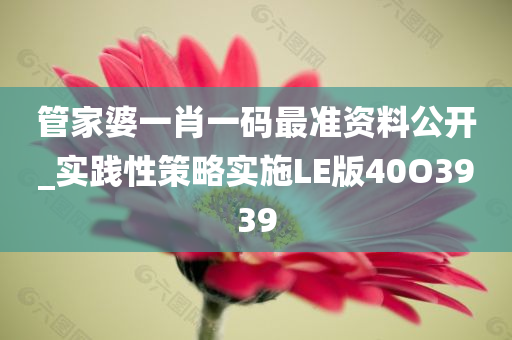 管家婆一肖一码最准资料公开_实践性策略实施LE版40O3939