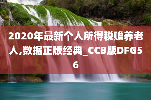 2020年最新个人所得税赡养老人,数据正版经典_CCB版DFG56