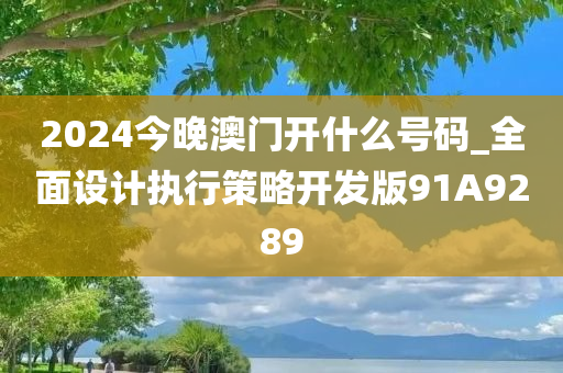 2024今晚澳门开什么号码_全面设计执行策略开发版91A9289