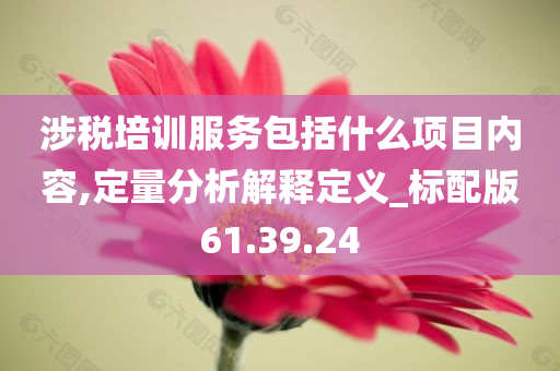 涉税培训服务包括什么项目内容,定量分析解释定义_标配版61.39.24