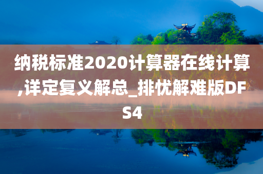 纳税标准2020计算器在线计算,详定复义解总_排忧解难版DFS4