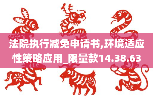 法院执行减免申请书,环境适应性策略应用_限量款14.38.63