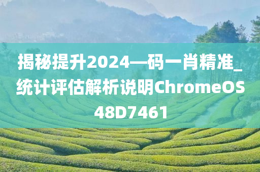 揭秘提升2024—码一肖精准_统计评估解析说明ChromeOS48D7461