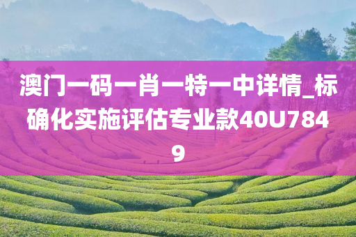 澳门一码一肖一特一中详情_标确化实施评估专业款40U7849