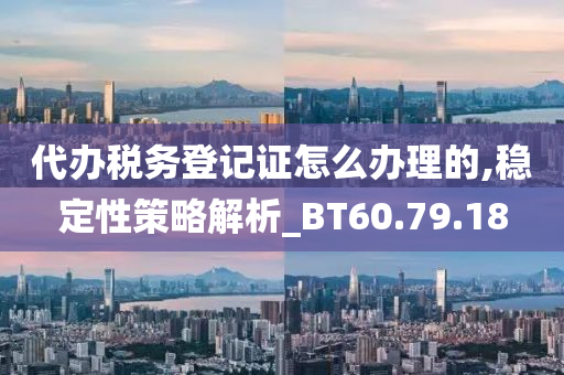 代办税务登记证怎么办理的,稳定性策略解析_BT60.79.18