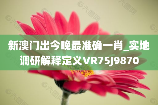 新澳门出今晚最准确一肖_实地调研解释定义VR75J9870