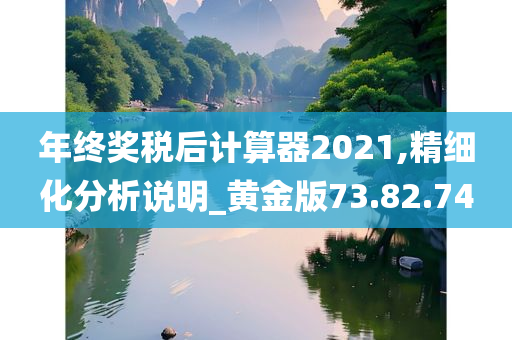 年终奖税后计算器2021,精细化分析说明_黄金版73.82.74