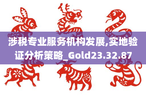 涉税专业服务机构发展,实地验证分析策略_Gold23.32.87