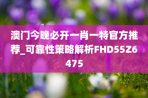 澳门今晚必开一肖一特官方推荐_可靠性策略解析FHD55Z6475