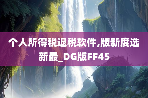 个人所得税退税软件,版新度选新最_DG版FF45