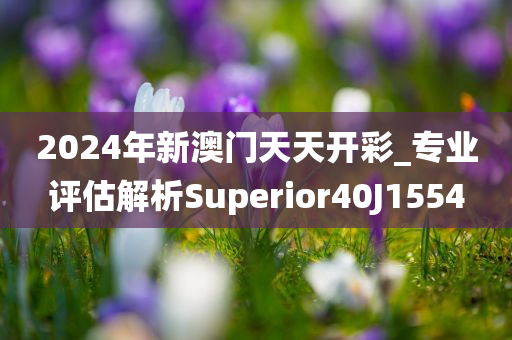 2024年新澳门天天开彩_专业评估解析Superior40J1554