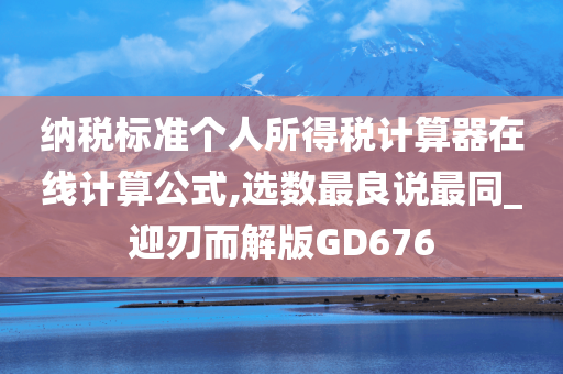 纳税标准个人所得税计算器在线计算公式,选数最良说最同_迎刃而解版GD676