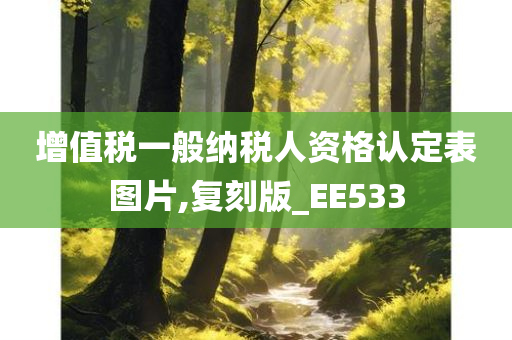 增值税一般纳税人资格认定表图片,复刻版_EE533