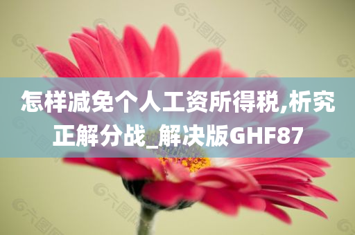 怎样减免个人工资所得税,析究正解分战_解决版GHF87