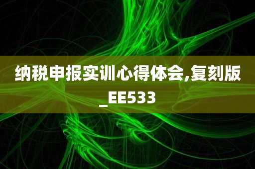 纳税申报实训心得体会,复刻版_EE533