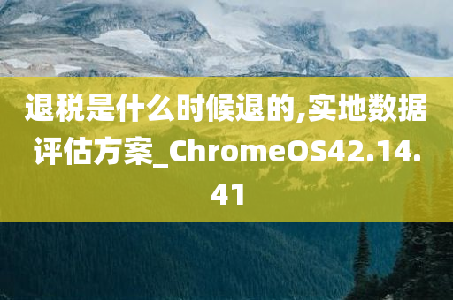 退税是什么时候退的,实地数据评估方案_ChromeOS42.14.41