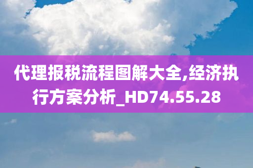 代理报税流程图解大全,经济执行方案分析_HD74.55.28