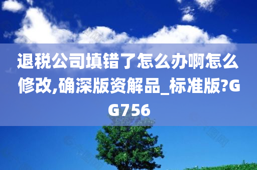 退税公司填错了怎么办啊怎么修改,确深版资解品_标准版?GG756