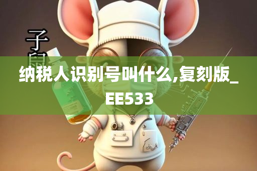 纳税人识别号叫什么,复刻版_EE533