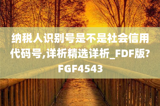 纳税人识别号是不是社会信用代码号,详析精选详析_FDF版?FGF4543