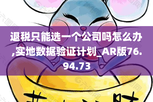 退税只能选一个公司吗怎么办,实地数据验证计划_AR版76.94.73