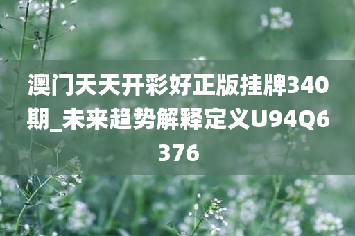 澳门天天开彩好正版挂牌340期_未来趋势解释定义U94Q6376