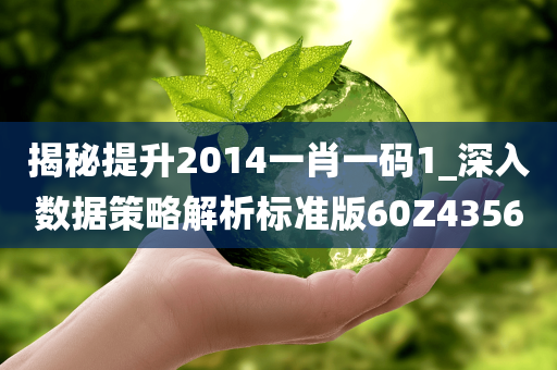 揭秘提升2014一肖一码1_深入数据策略解析标准版60Z4356