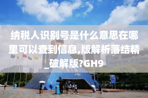 纳税人识别号是什么意思在哪里可以查到信息,版解析落结精_破解版?GH9