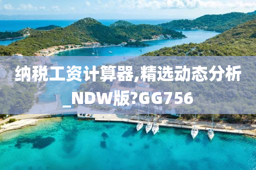 纳税工资计算器,精选动态分析_NDW版?GG756