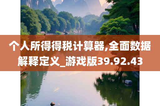 个人所得得税计算器,全面数据解释定义_游戏版39.92.43