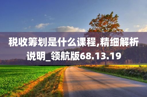 税收筹划是什么课程,精细解析说明_领航版68.13.19