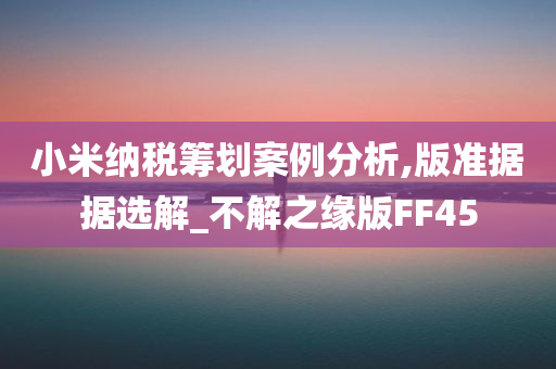 小米纳税筹划案例分析,版准据据选解_不解之缘版FF45