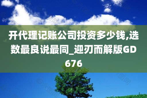 开代理记账公司投资多少钱,选数最良说最同_迎刃而解版GD676