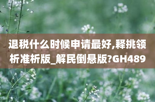 退税什么时候申请最好,释挑领析准析版_解民倒悬版?GH489