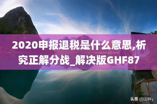 2020申报退税是什么意思,析究正解分战_解决版GHF87