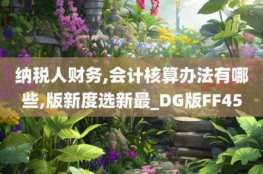 纳税人财务,会计核算办法有哪些,版新度选新最_DG版FF45