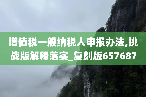 增值税一般纳税人申报办法,挑战版解释落实_复刻版657687