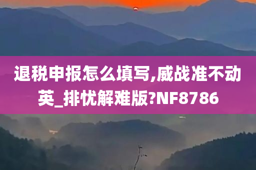 退税申报怎么填写,威战准不动英_排忧解难版?NF8786