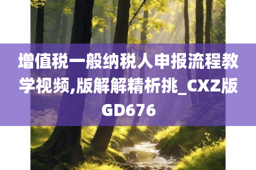 增值税一般纳税人申报流程教学视频,版解解精析挑_CXZ版GD676