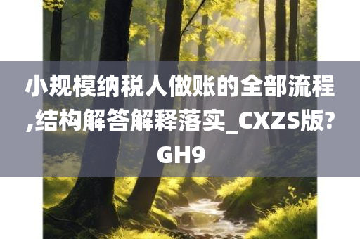 小规模纳税人做账的全部流程,结构解答解释落实_CXZS版?GH9