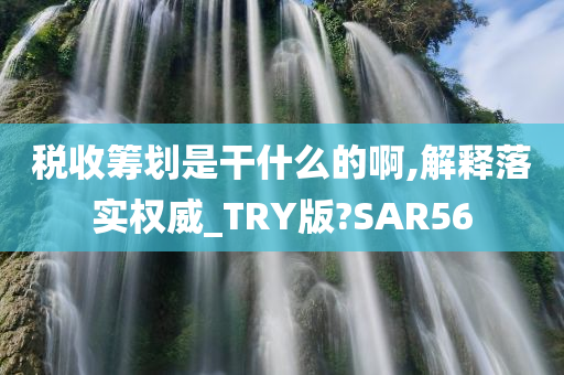 税收筹划是干什么的啊,解释落实权威_TRY版?SAR56