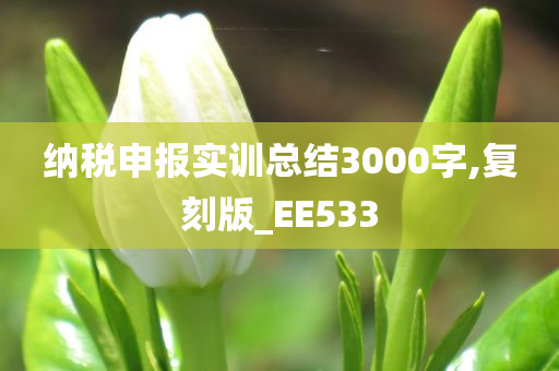 纳税申报实训总结3000字,复刻版_EE533