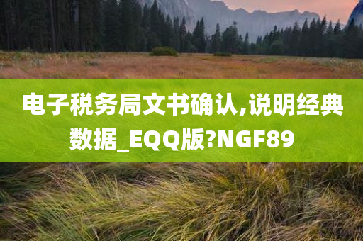 电子税务局文书确认,说明经典数据_EQQ版?NGF89