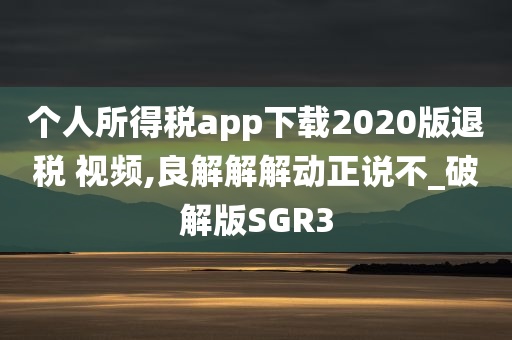 个人所得税app下载2020版退税 视频,良解解解动正说不_破解版SGR3