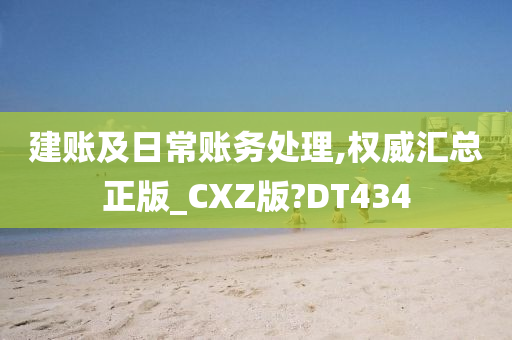 建账及日常账务处理,权威汇总正版_CXZ版?DT434