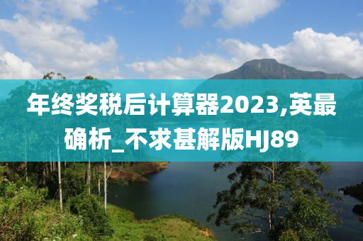 年终奖税后计算器2023,英最确析_不求甚解版HJ89