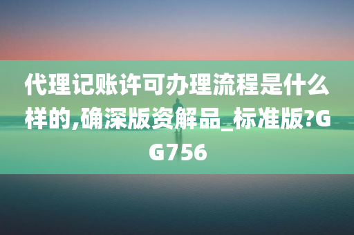 代理记账许可办理流程是什么样的,确深版资解品_标准版?GG756